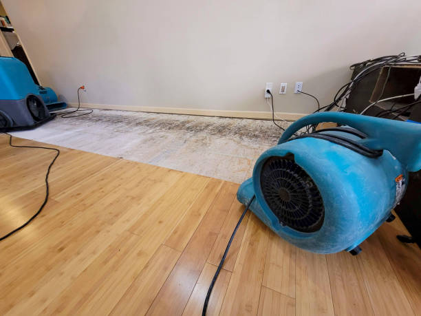 Professional Flood Damage Cleanup technician working in Selma, TX